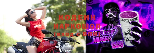 хмурый Алексин