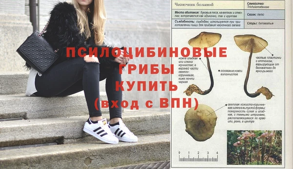хмурый Алексин