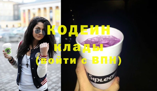 хмурый Алексин