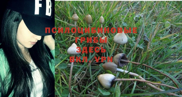 ГАЛЛЮЦИНОГЕННЫЕ ГРИБЫ Алексеевка