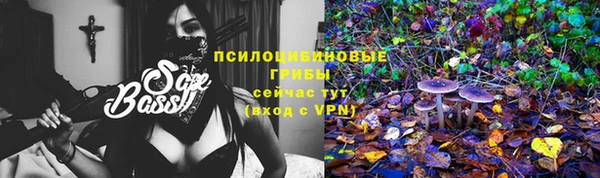 гашик Абдулино