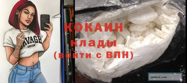 хмурый Алексин